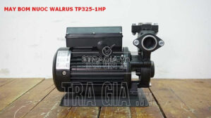 Máy bơm nước Walrus-TP325-1HP