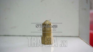 Đầu đồng phun xịt rửa xe dây đai ngắn.