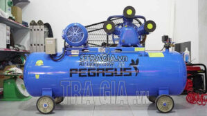Máy nén khí Pegasus TM-W-0.67/8-330L-7.5HP thích hợp sử dụng những nơi có độ ồn thấp như phòng thí nghiệm, giá đình