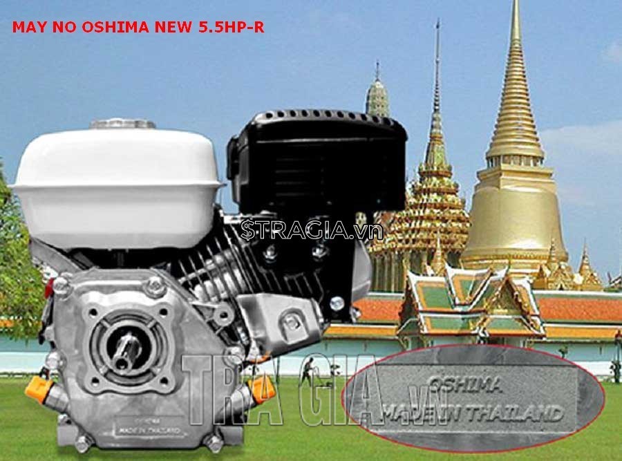 Động cơ xăng OSHIMA NEW-R 5.5HP được sản xuất tại Thái Lan đảm bảo chất lượng