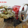 Đầu xịt Oshima OS-30A