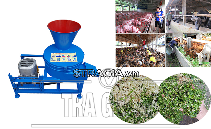 Máy băm thái chuối đa năng cho bò