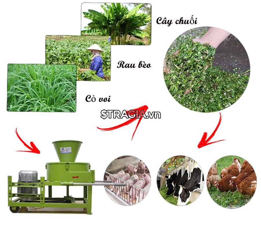 Máy thái chuối đa năng có thể băm được nhiều loại rau xanh, cỏ voi, thân cây chuối,...