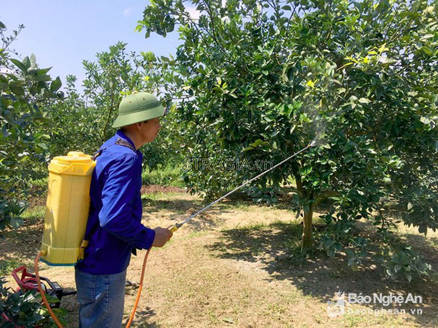 Máy phun thuốc dễ sử dụng ở mọi nơi