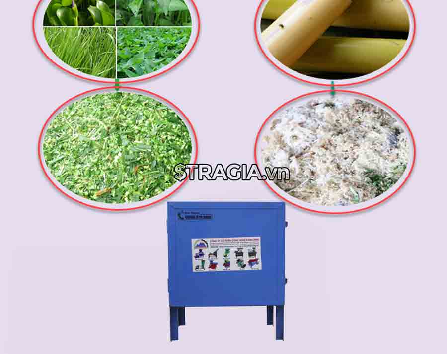 Phân phối máy thái chuối mịn tại Miền Trung