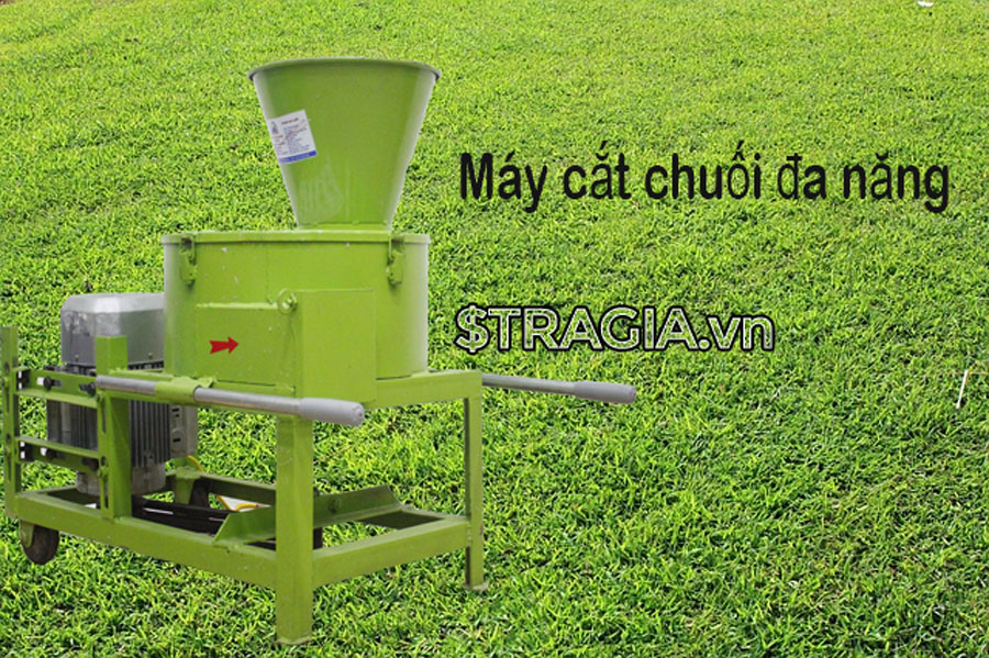 Phân phối máy cắt chuối đa năng cho heo giá rẻ tại miền Nam