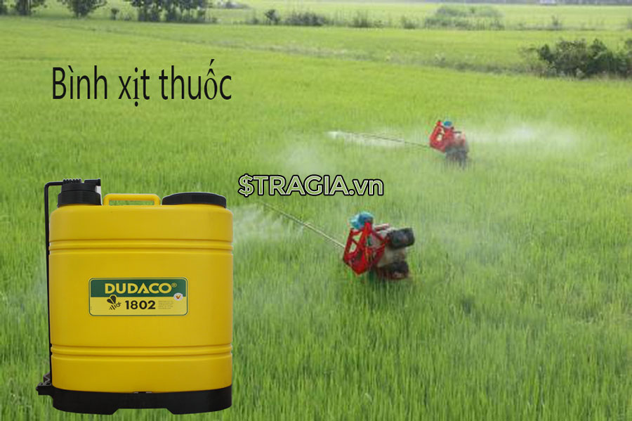 Máy cắt chuối đa năng chất lượng, giá rẻ tại Tây Nguyên