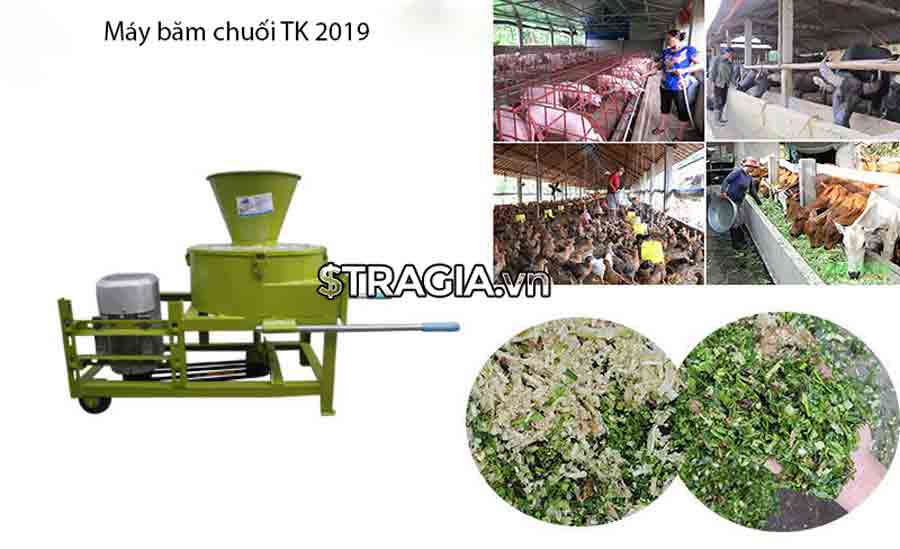 Máy băm chuối TK 2019 tiện lợi