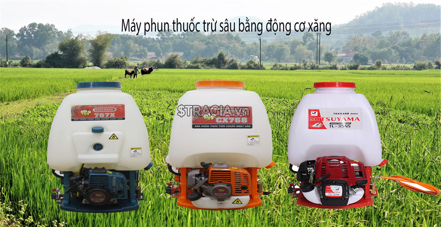 Những ưu, nhược điểm của bình phun thuốc sâu chạy điện