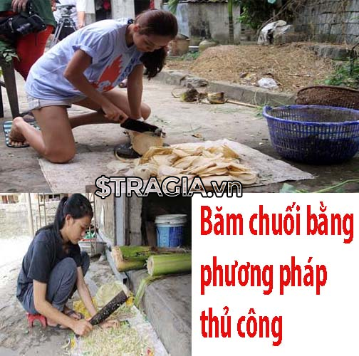 Băm thủ công tốn thời gian lại mất sức nếu băm số lượng thức ăn nhiều