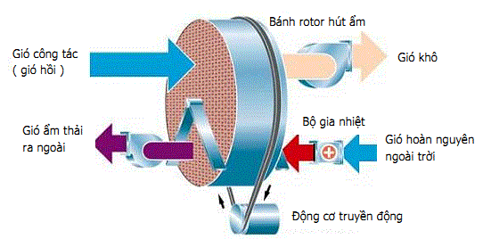 Cấu tạo và nguyên lí hoạt động của máy hút ẩm Rotor