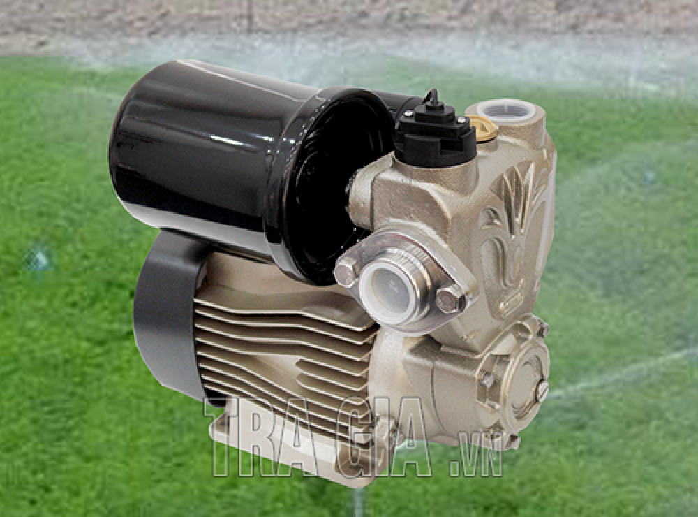 Ưu nhược điểm của máy bơm chìm và máy bơm cạn