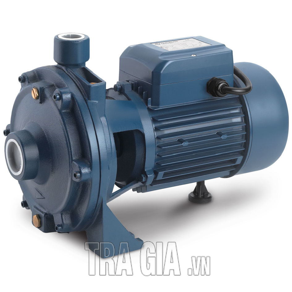 Máy đầm cóc là gì? Có mấy loại máy đầm cóc