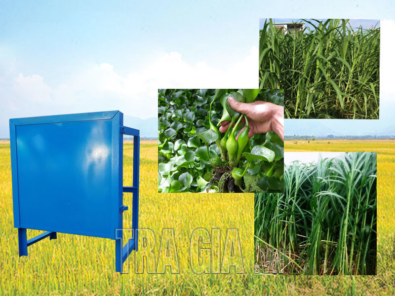 Máy băm rau muống, băm cành cây tại Lâm Đồng