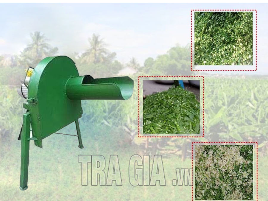 Máy thái băm các loại rau, củ 1500KW tại Củ Chi