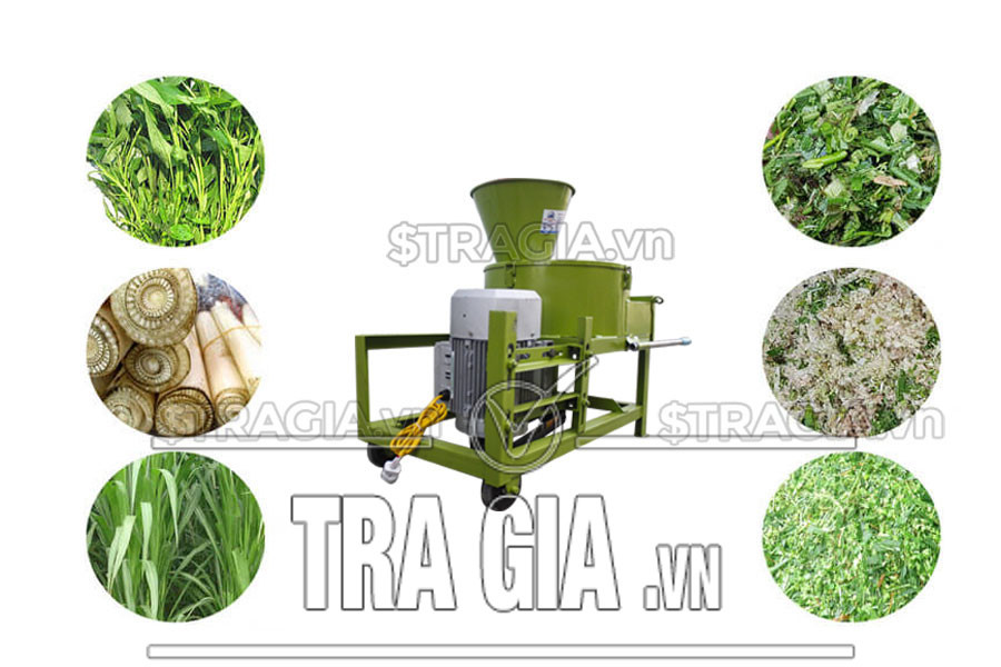 Máy băm chuối như thế nào là tốt, bền?