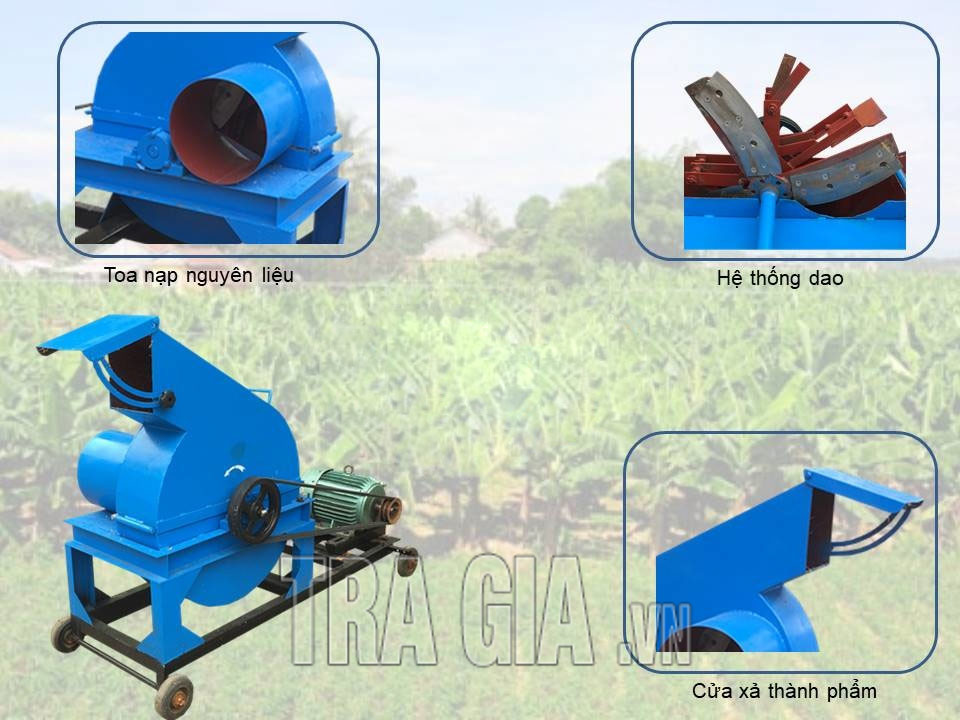 Phân phối chính hãng máy băm chuối ở Bình Dương