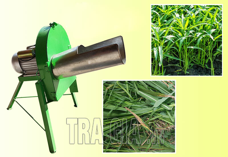 Bán máy thái chuối 3 chân uy tín, giá rẻ tại Trà Vinh