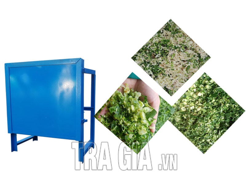 Phân phối máy xay nhuyễn thức ăn cho gia súc tại Bến Tre