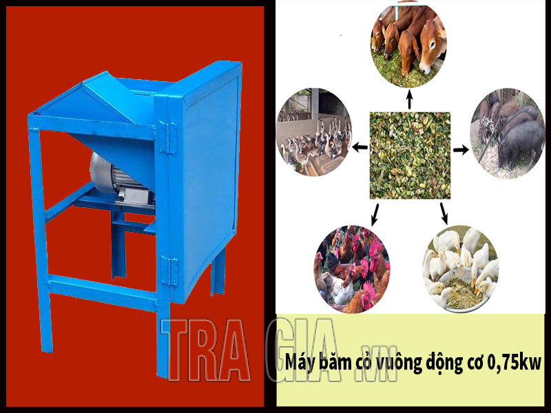 Phân phối máy băm cỏ vuông 0,75KW tại Vũng Tàu