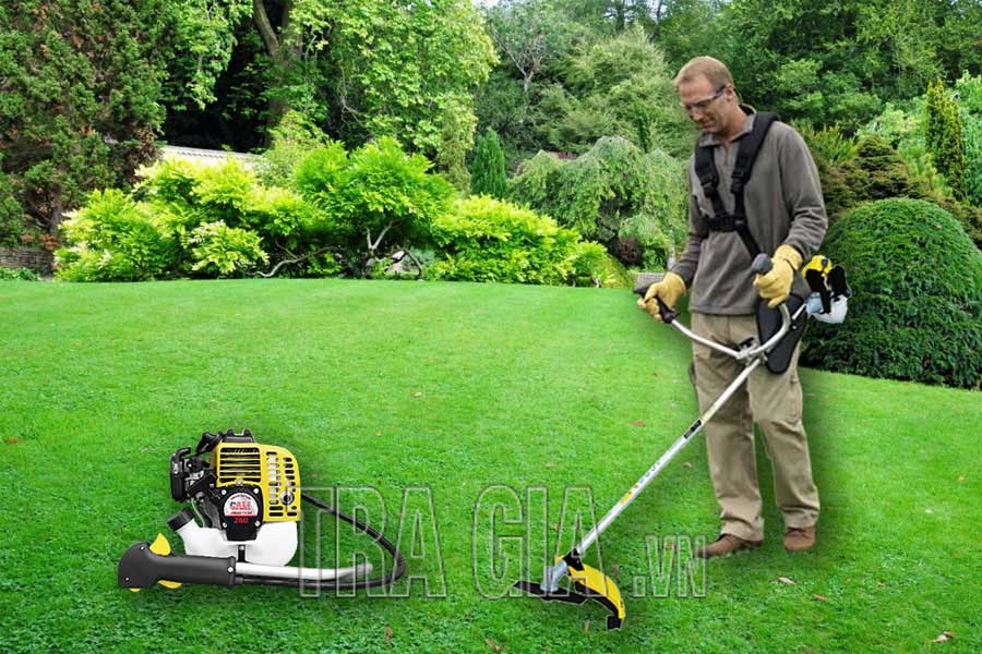 Mua máy băm chuối tại Bến Tre [CHÍNH HÃNG, GIÁ RẺ]